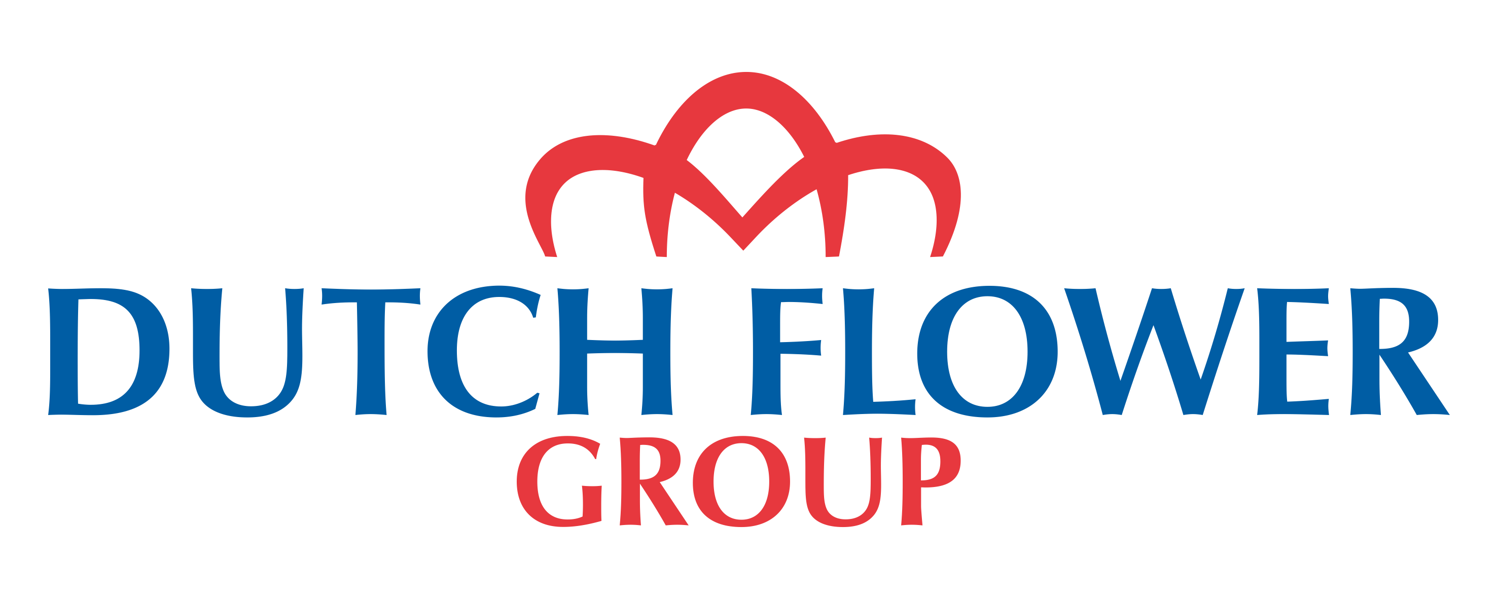 Dutch Flower Group Making life colourful