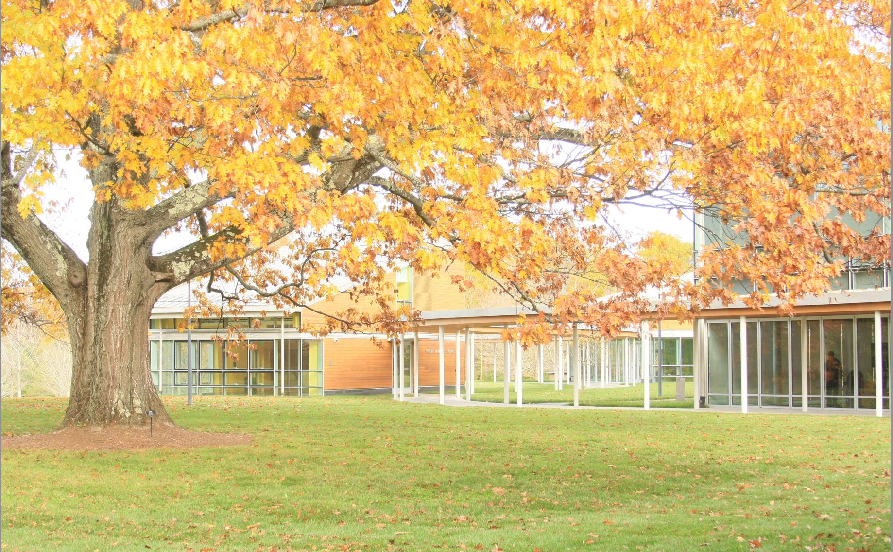 tanglewood summer 2023 TANGLEWOOD PREVIEW Five Sunday afternoon chamber music concerts at