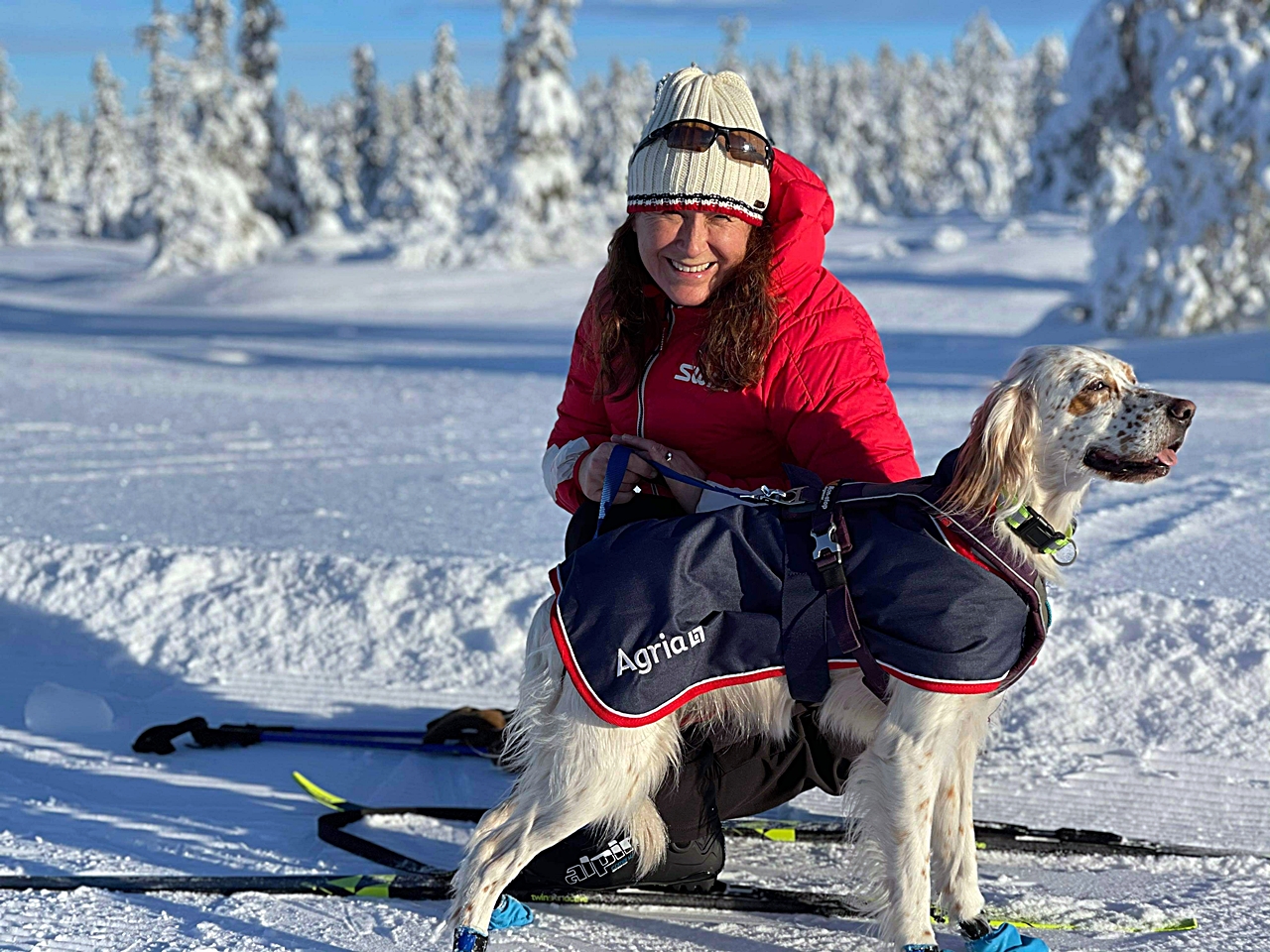 Agria Dyreforsikring Dfly