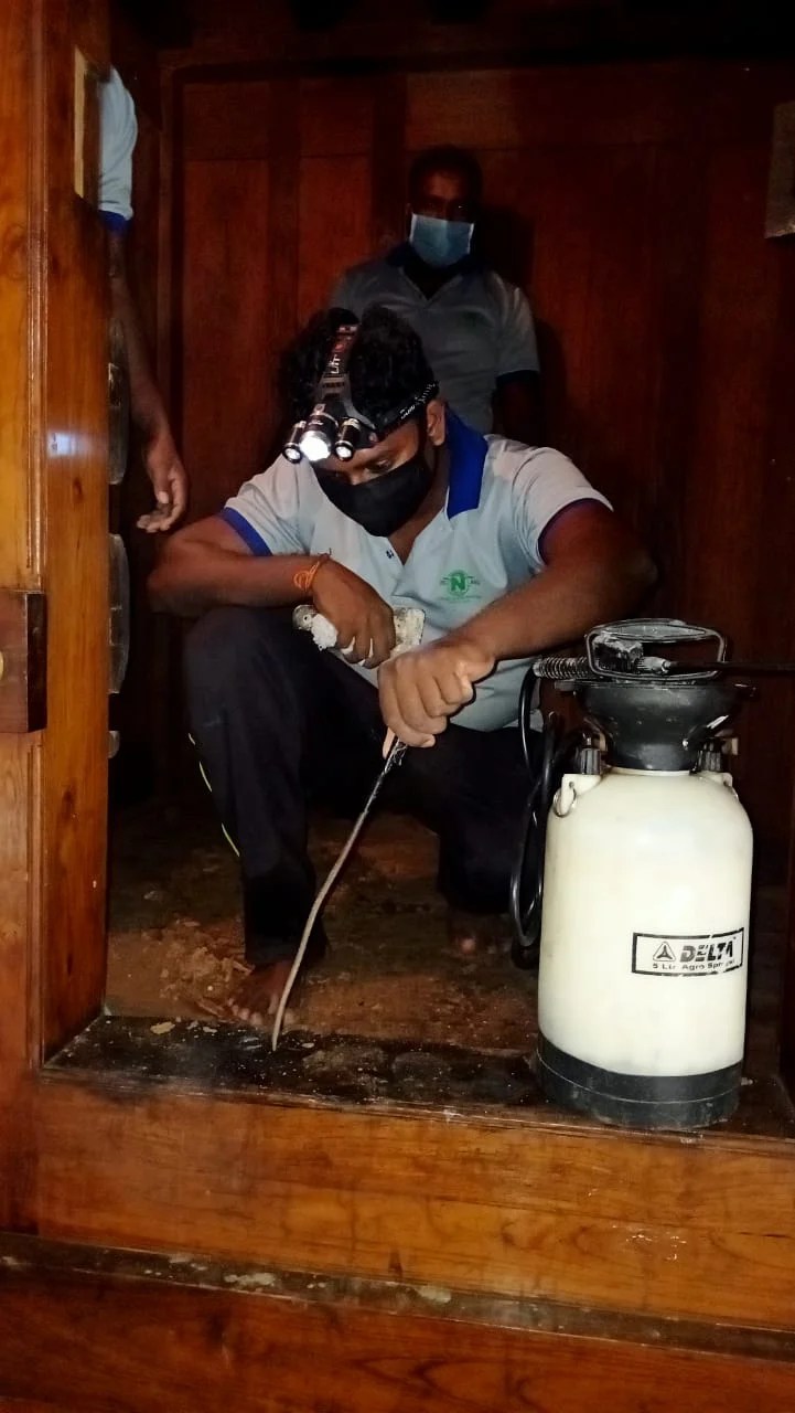 Reliable Anti Termite Treatment & Pest Control In Kottayam DFM