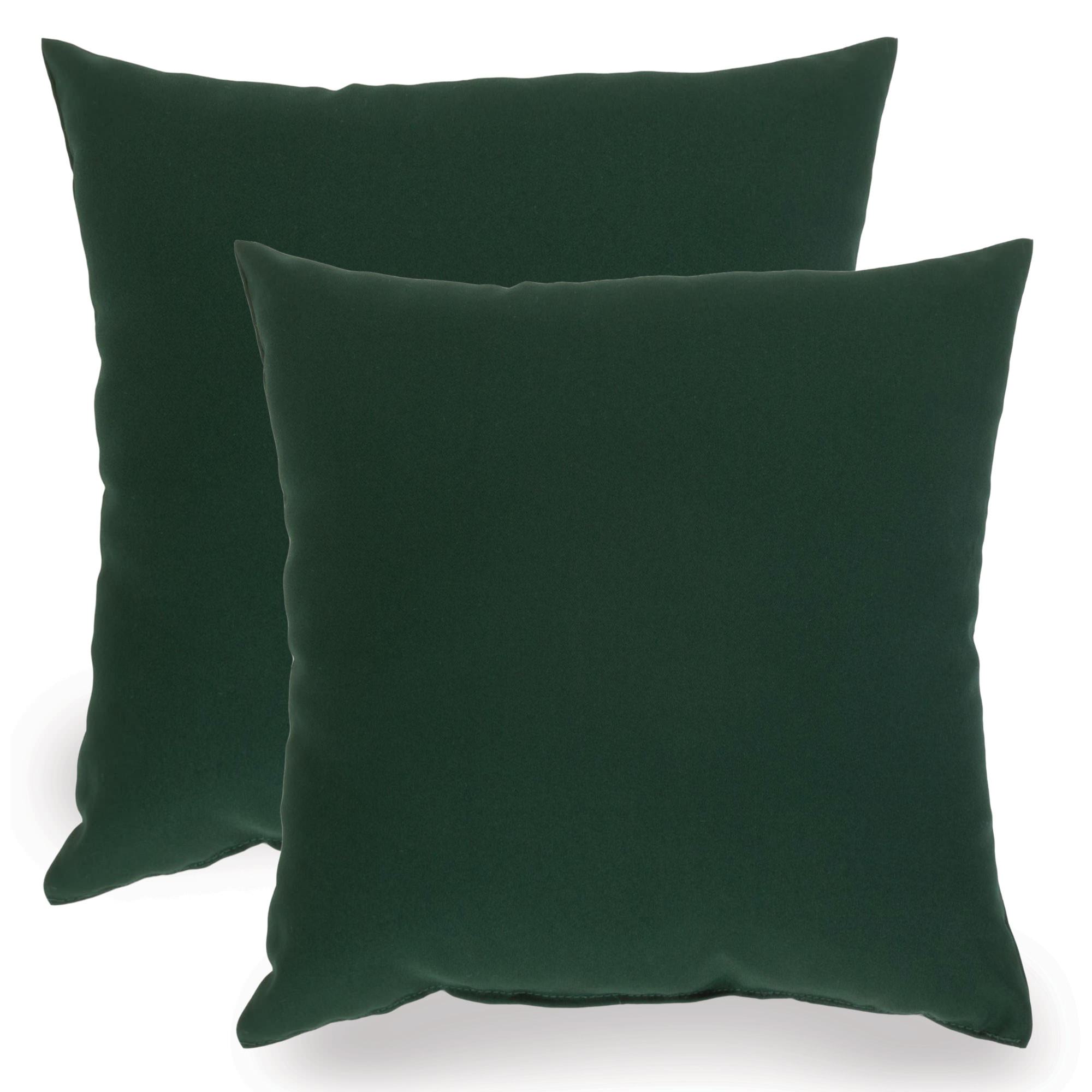 Green Indoor/Outdoor Throw Pillow Set of TwoEssentials by DFO