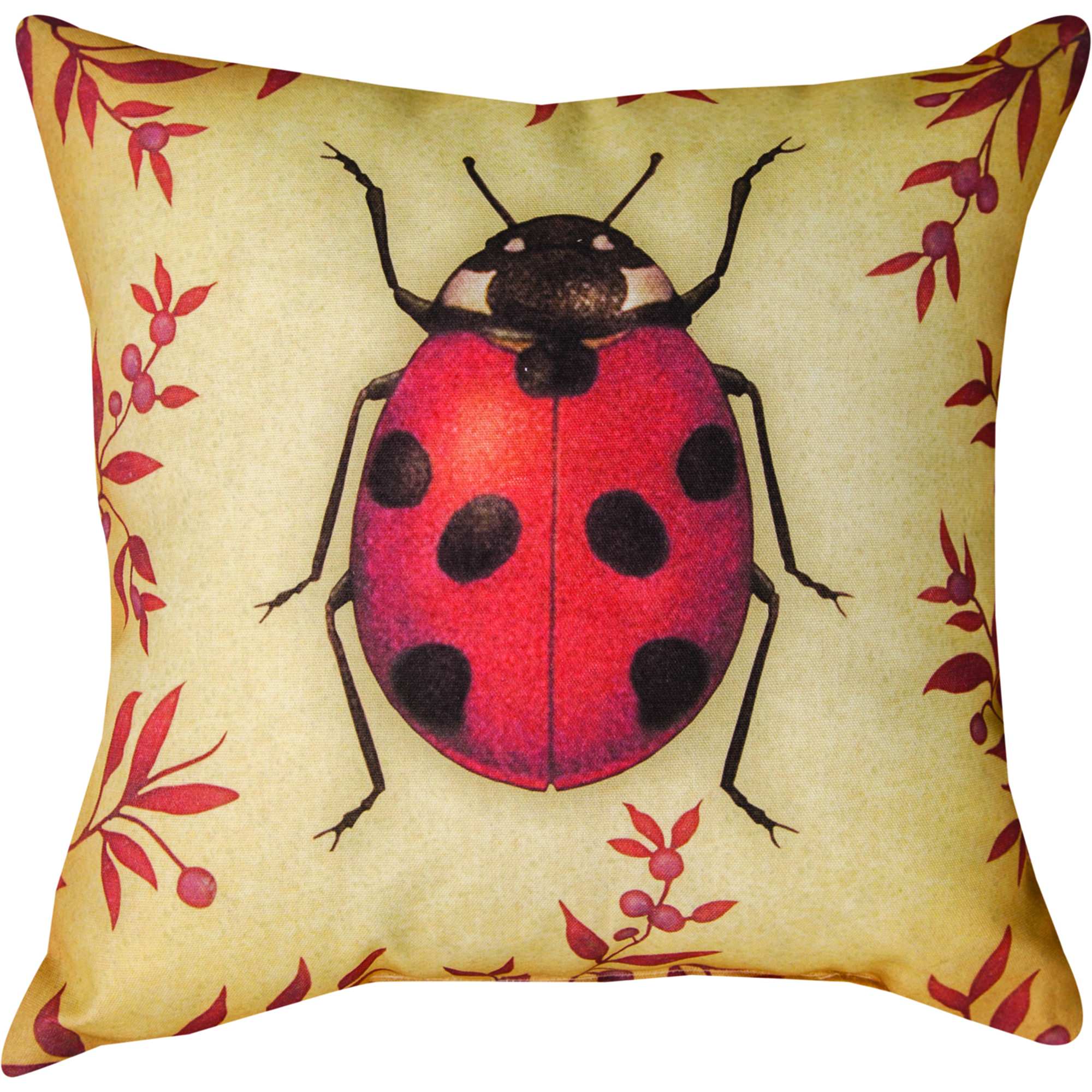 Insects Lady Bug Outdoor Pillow 18 Square on Sale DFOHome