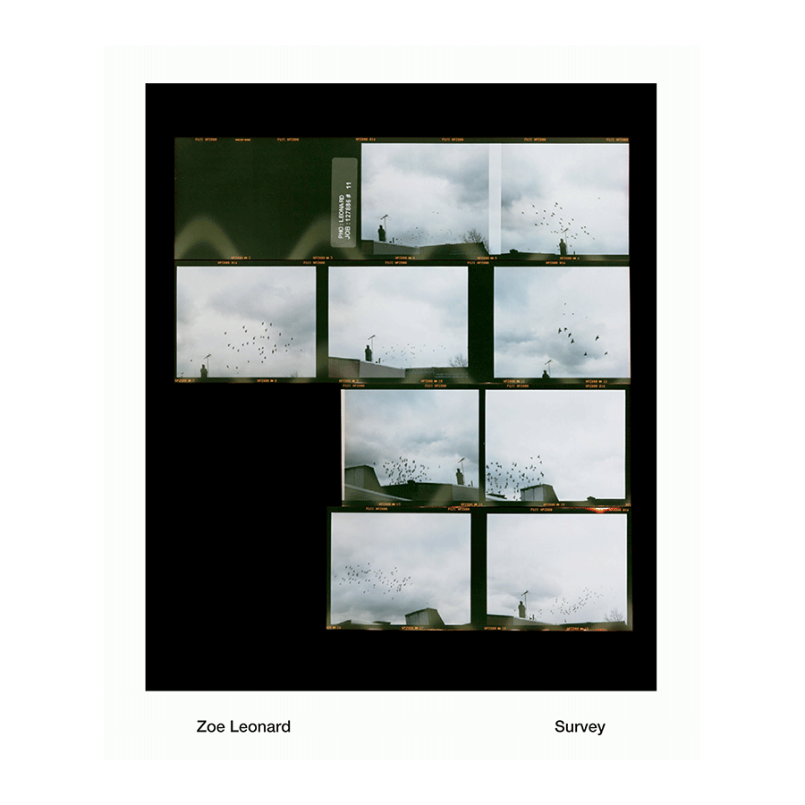 Zoe Leonard Survey Dancing Foxes Press