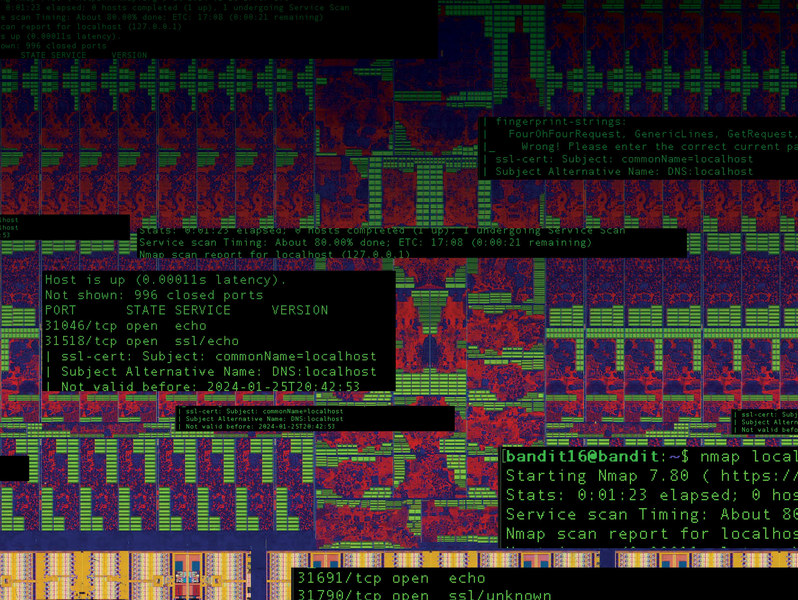 What You Need to Know about Email Hacking Email Bombs dummies
