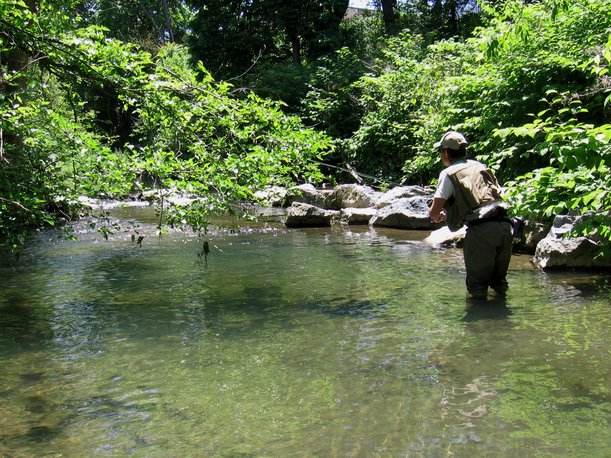 Spring Creek Doc Fritchey Trout Unlimited