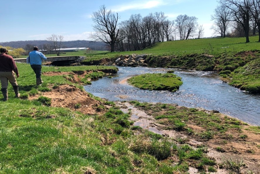 Hammer Creek Restoration Paflyfish