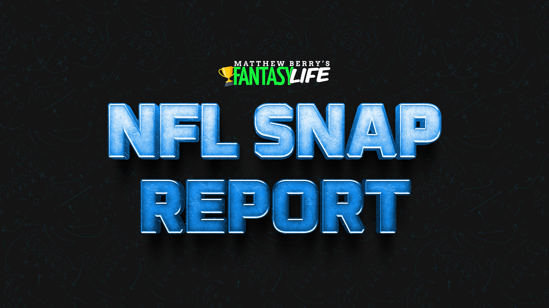 NFL Snap Report