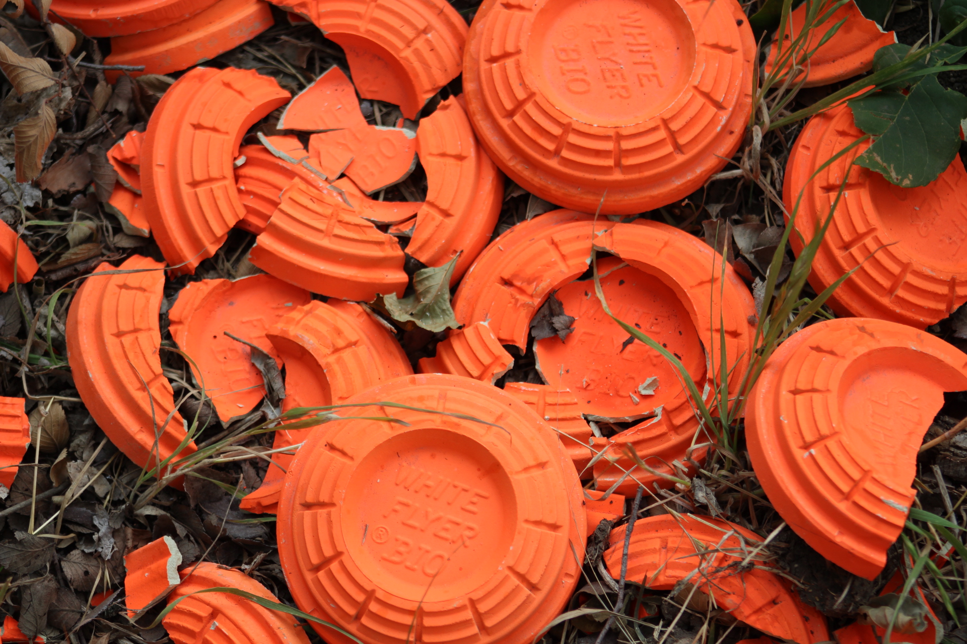 DFW Adventure Park Paintball, Zip Lines, Trap, Skeet, and Sporting Clays