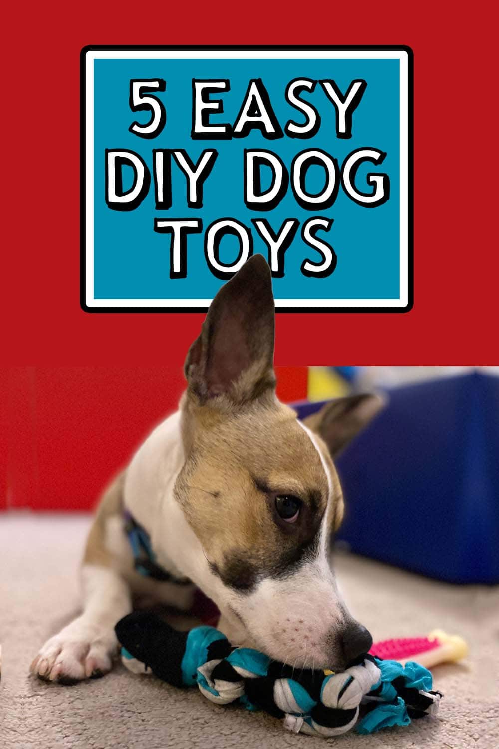 5 Easy to Make DIY Dog Toys [No Sew, Recycled materials] DFW Craft Shows