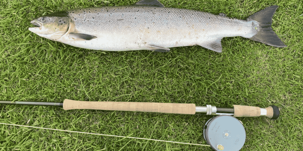 Stillwater Fly Fishing Techniques DFW Fly Fishing