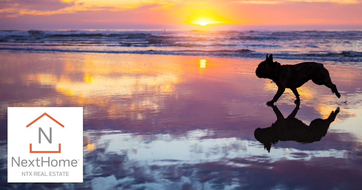 Build Your Career with NextHome NTX Real Estate in North Texas!