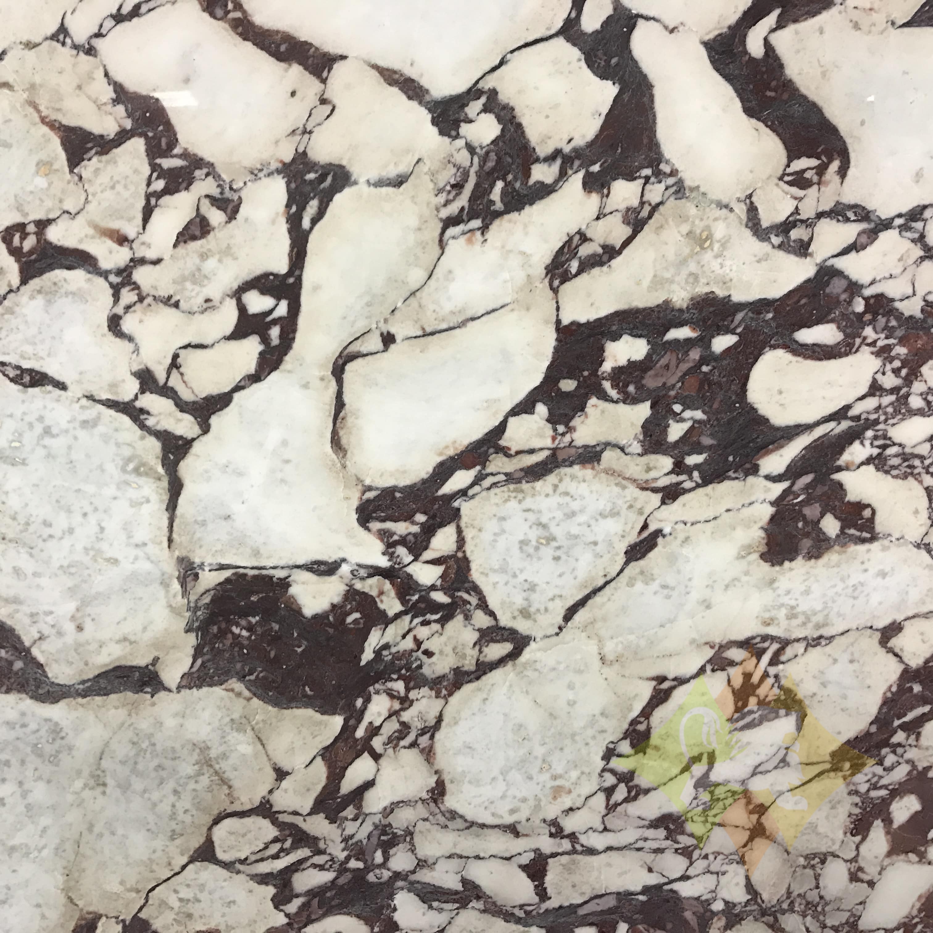 Calacatta Viola Marble