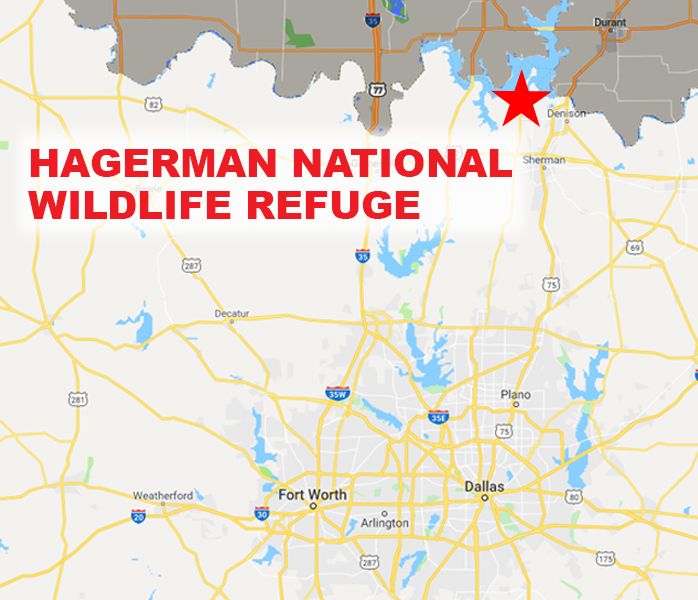 Hiking the Habitat at Hagerman DFW Urban Wildlife