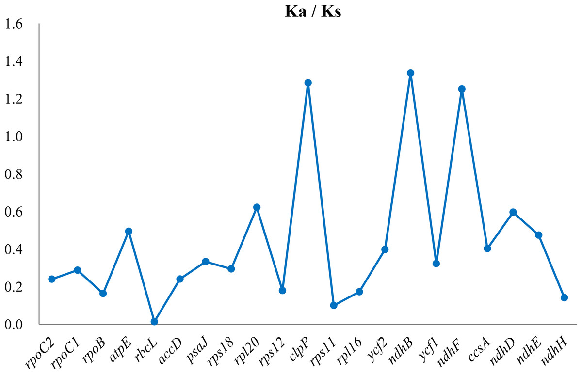 The complete chloroplast genome sequence of Gentiana lawrencei var