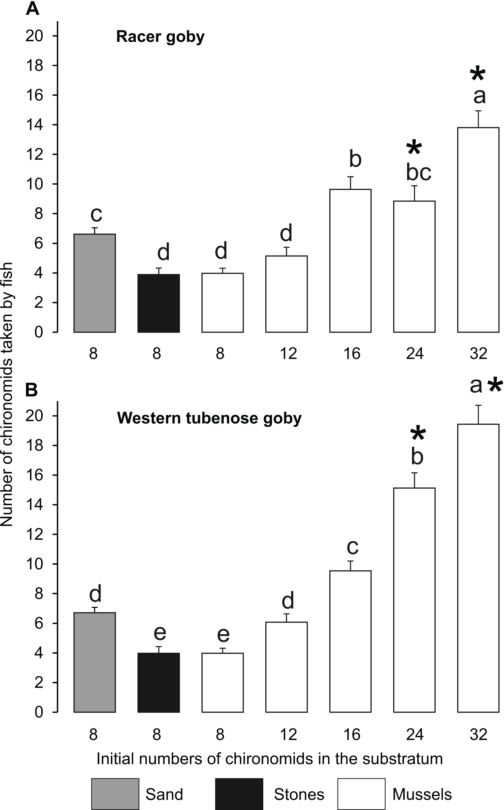 Zebra mussel beds an effective feeding ground for PontoCaspian gobies