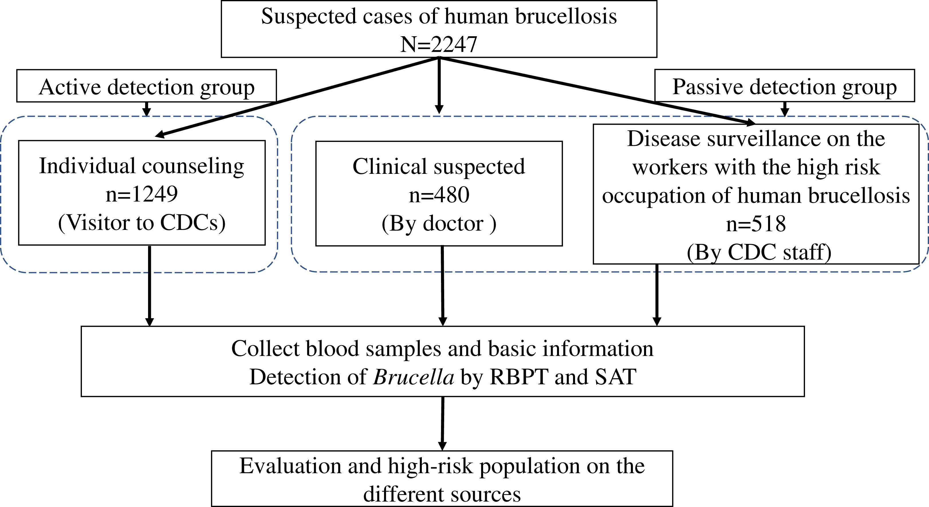 Evaluating active versus passive sources of human brucellosis in Jining