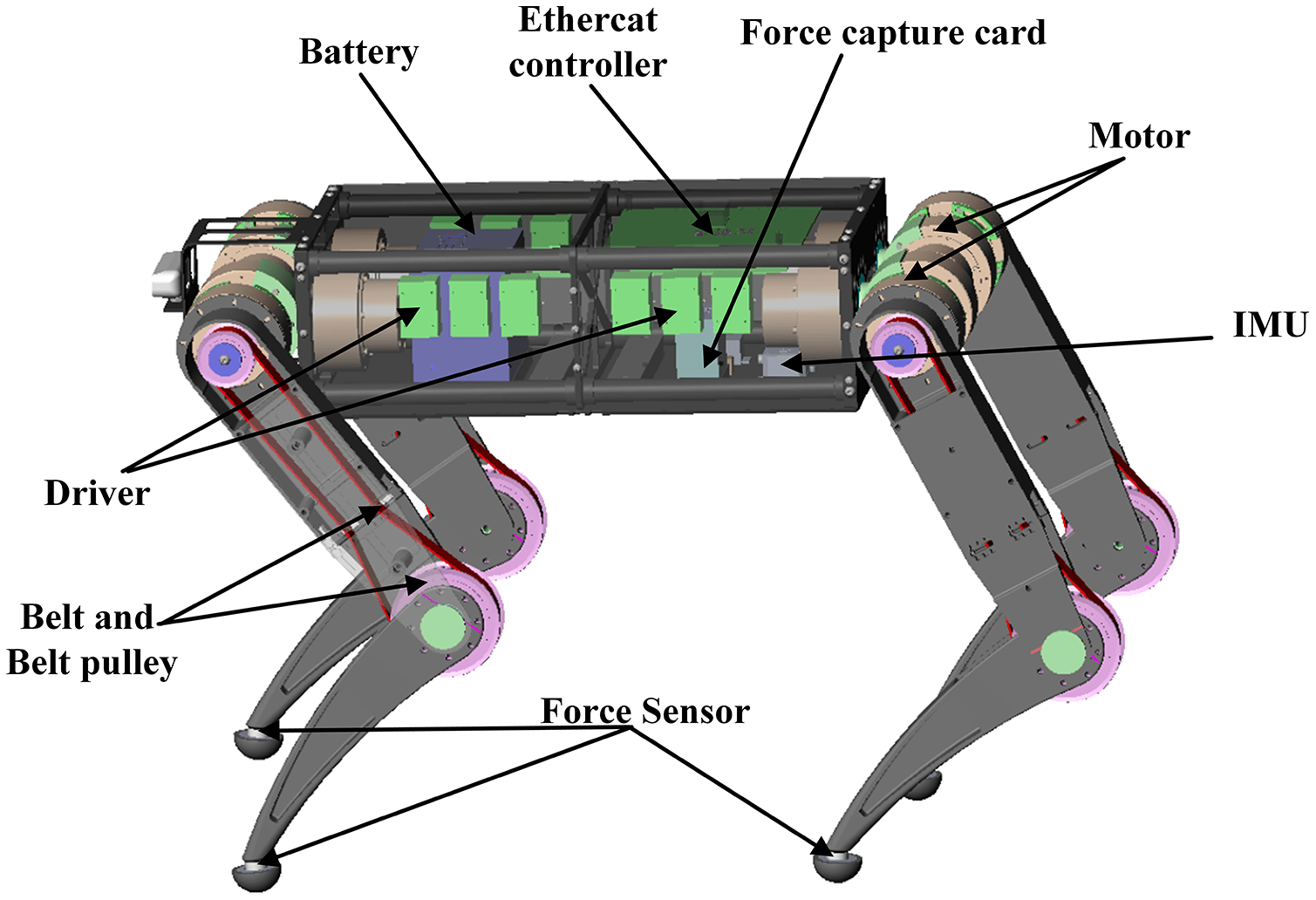 Wholebody kinematic and dynamic modeling for quadruped robot under