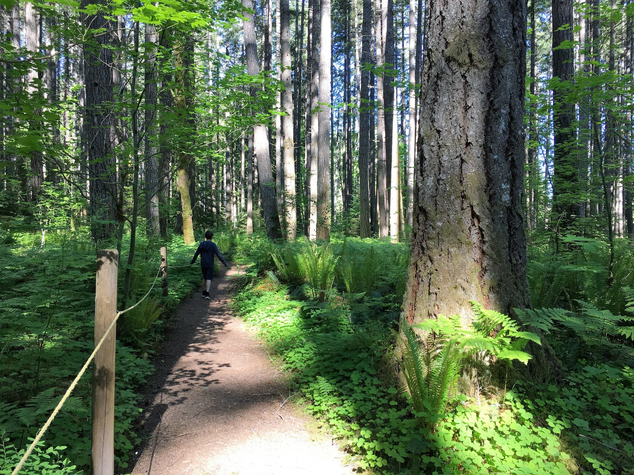 Braille Trails and Accessible Outdoor Spaces DG2 Design