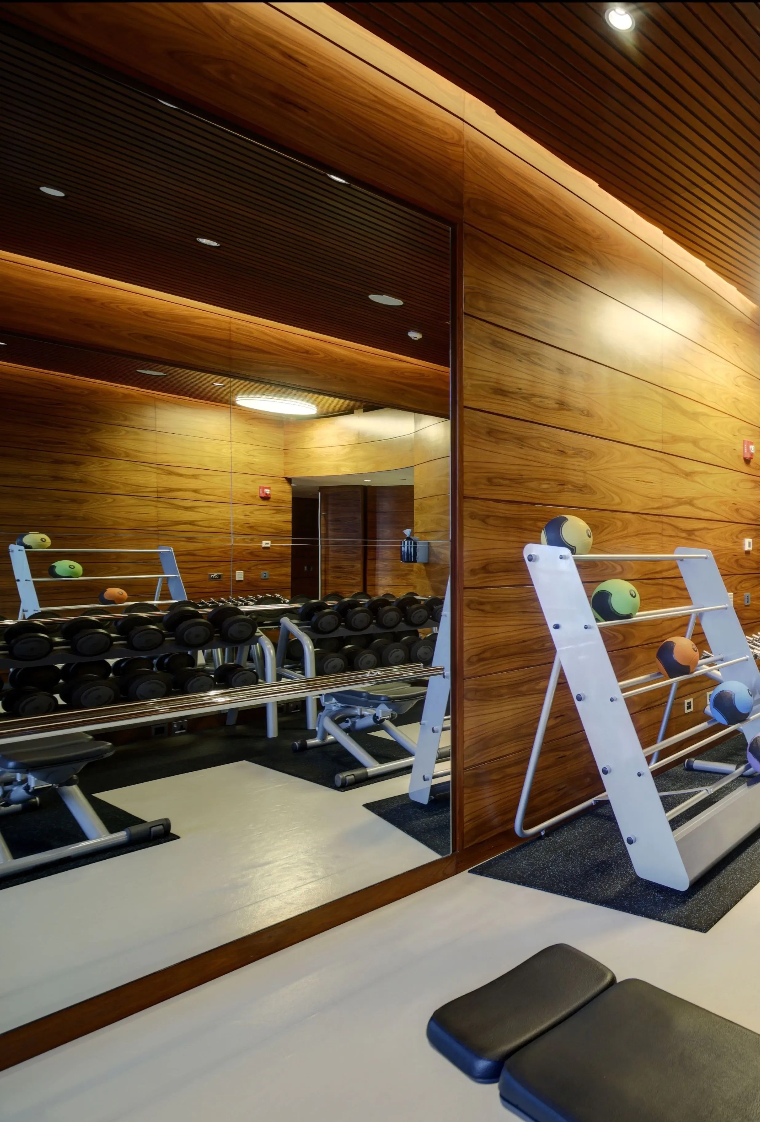Gym Mirrors | Sales and Installation | Dulles Glass