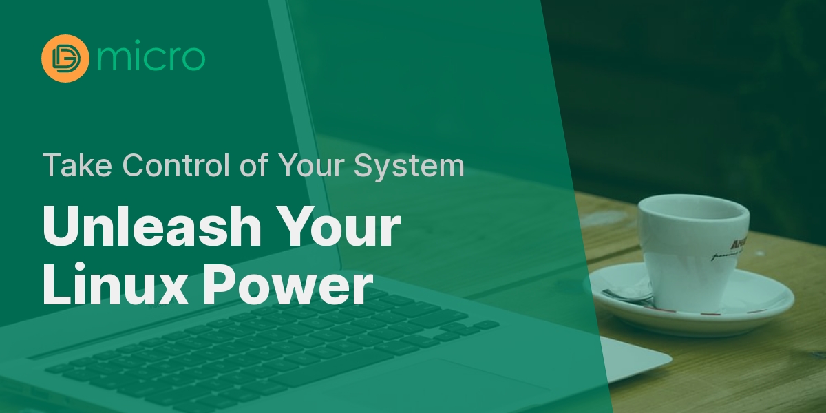 Mastering Linux Processes and System Reboot DG Micro Quiz