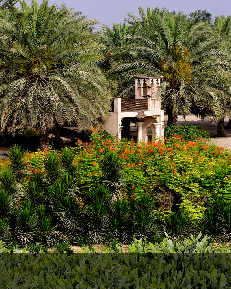 Wahat Al Sahraa nursery Largest Plant nursery in UAE Indoor and