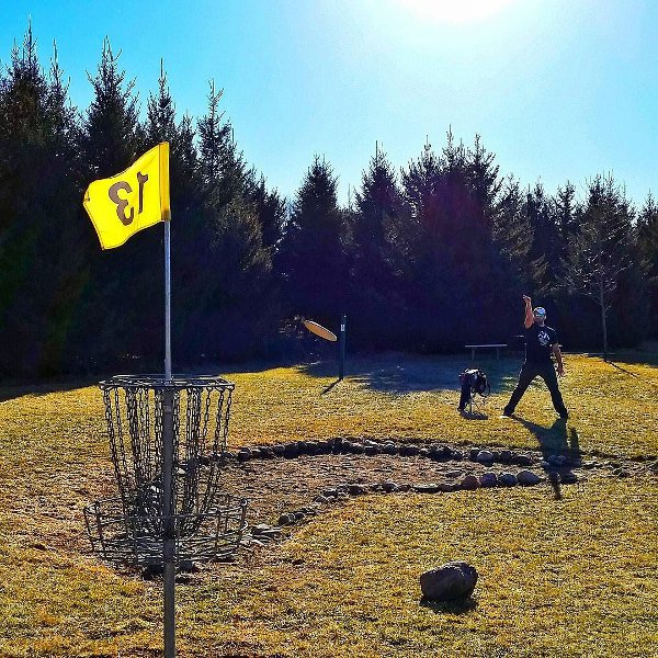 The 5 Most Important Putting Components Disc Golf Puttheads