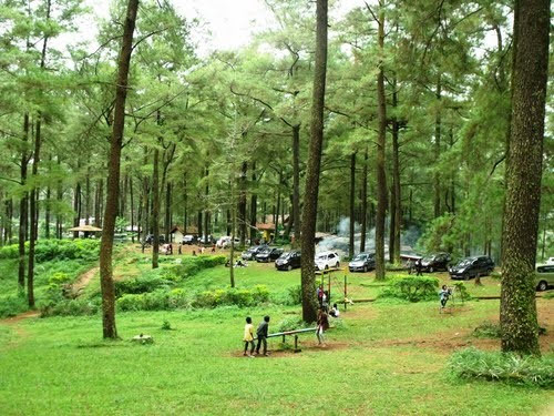 Wisata Alam di Hutan Pinus, Malino