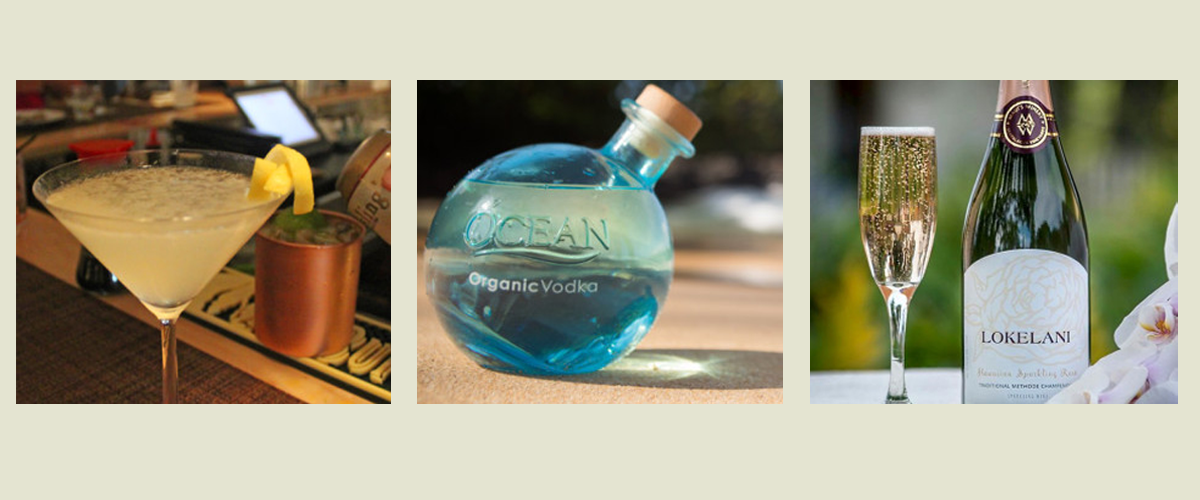 Hawaiian Rum, Vodka & Wine Tasting with Dinner Tour From Maui Dynamic