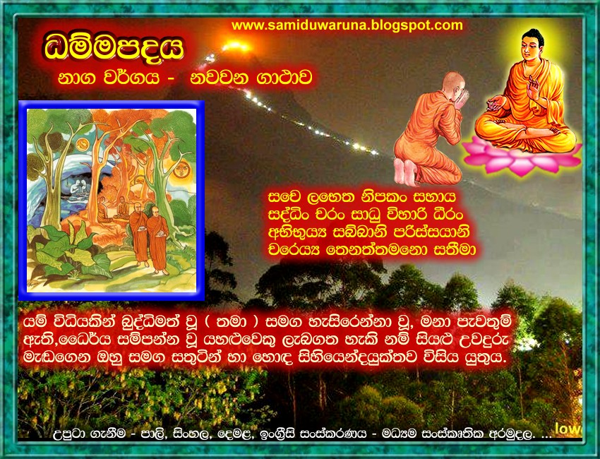 ධම්මපදය නාග වග්ගය නවවන ගාථාව IFBC Organization Dhamma