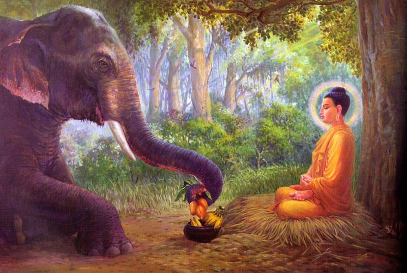 Life of the Buddha in Pictures