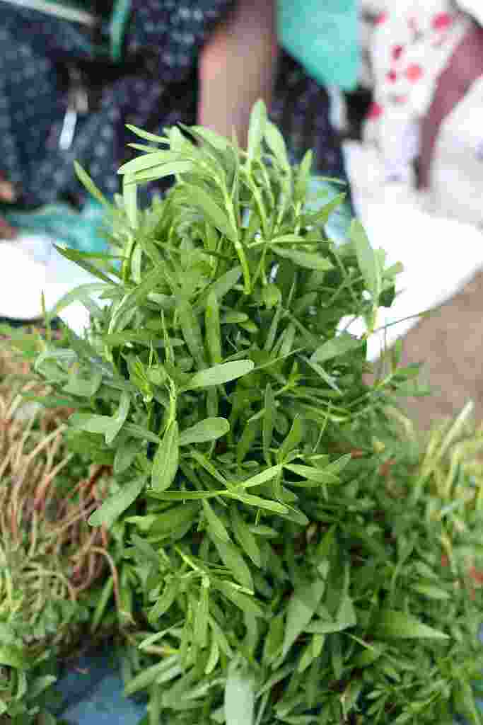 பொன்னாங்கன்னி கீரை Ponnanganni keerai benefits in Tamil