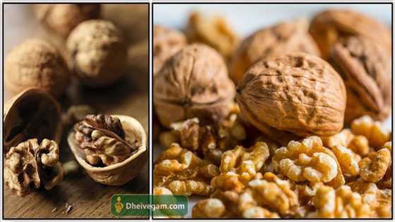 வால்நட்ஸ் நன்மைகள் Walnut benefits in Tamil