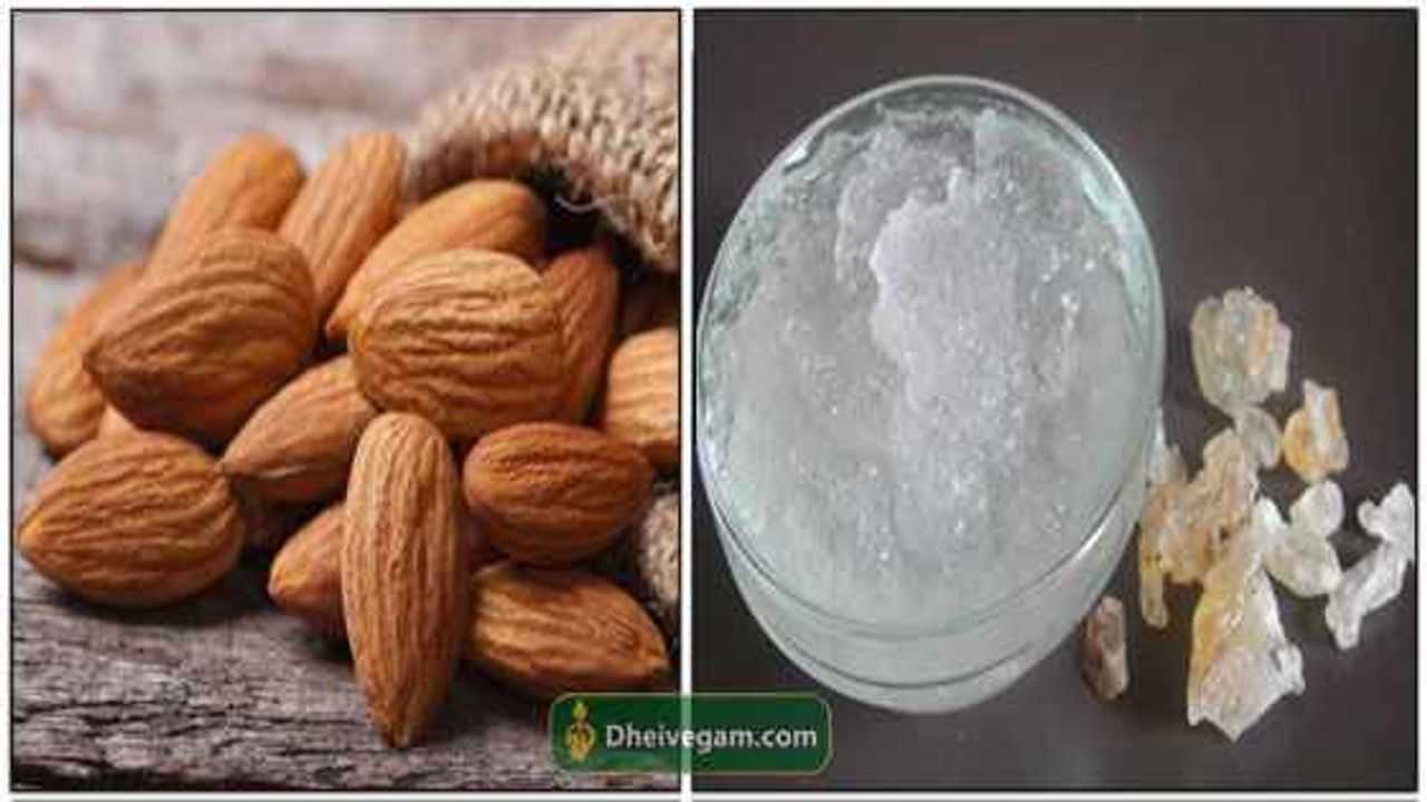 பாதாம் பிசின் நன்மைகள் Badam pisin benefits in Tamil