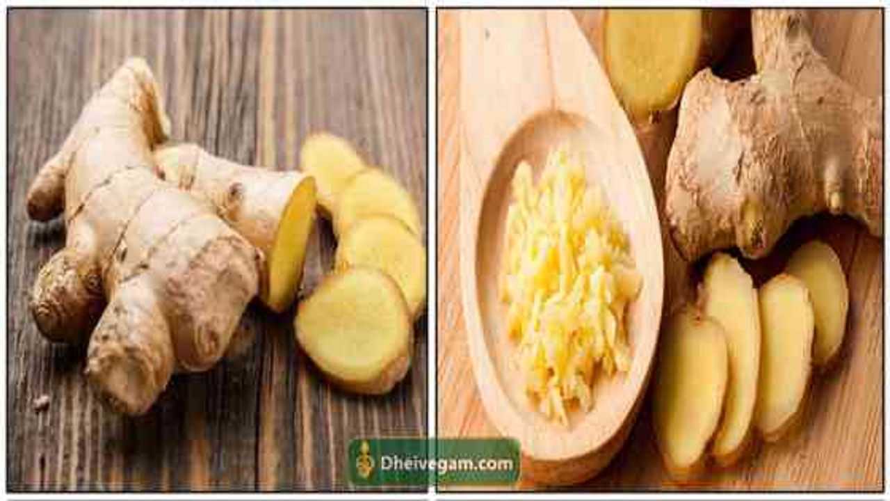 இஞ்சி பயன்கள் Ginger uses in Tamil Inji payangal in Tamil