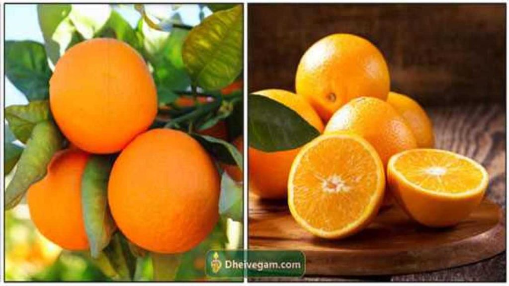 ஆரஞ்சு பழம் பயன்கள் Orange fruit benefits in Tamil