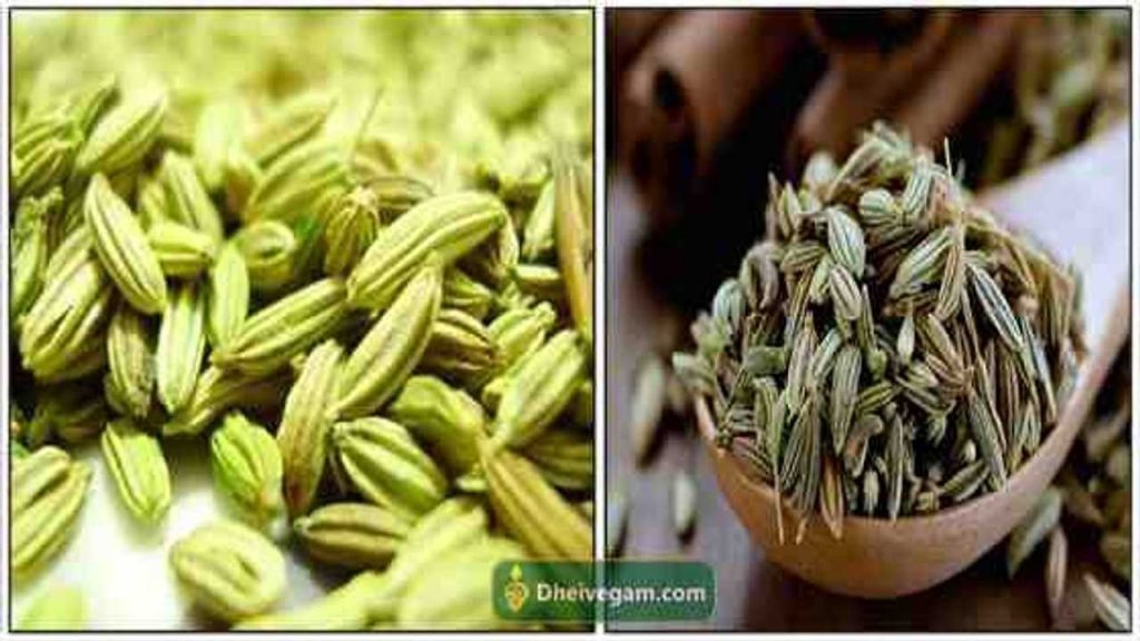 What Is Perungayam In Tamil at Bryan Cohen blog