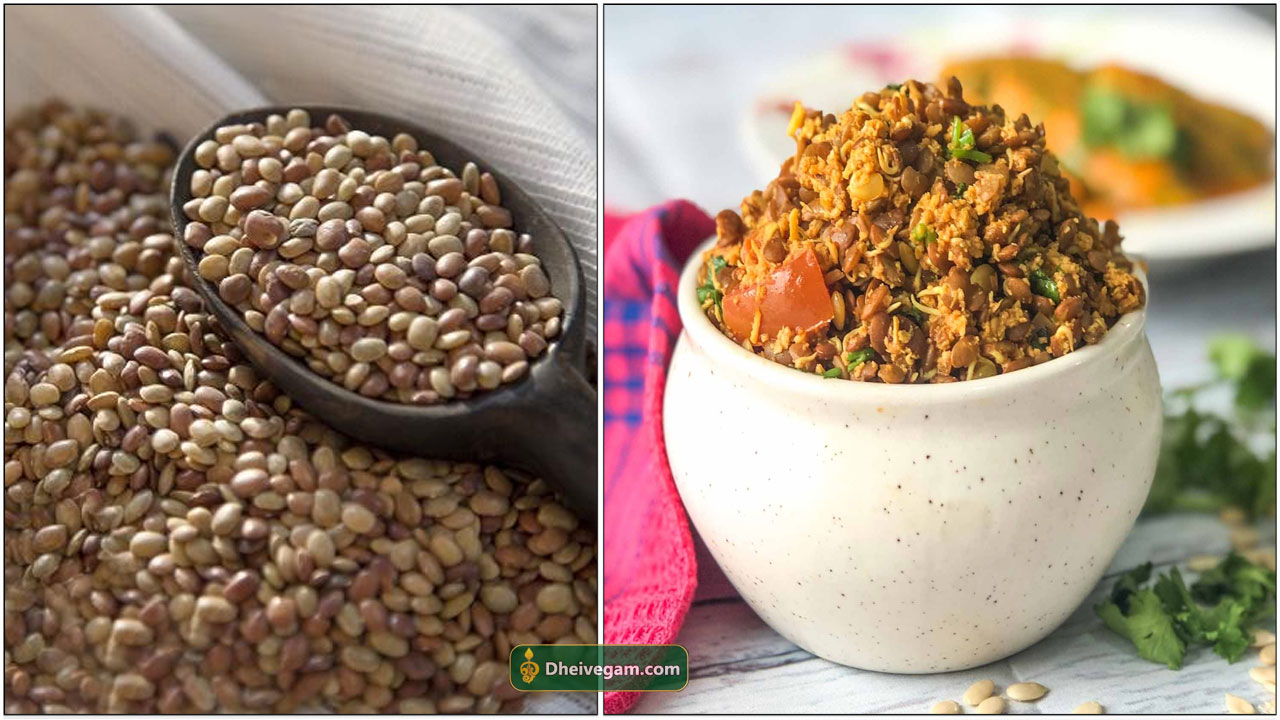 கொள்ளு பயன்கள் Kollu payangal in Tamil Kollu benefits in Tamil