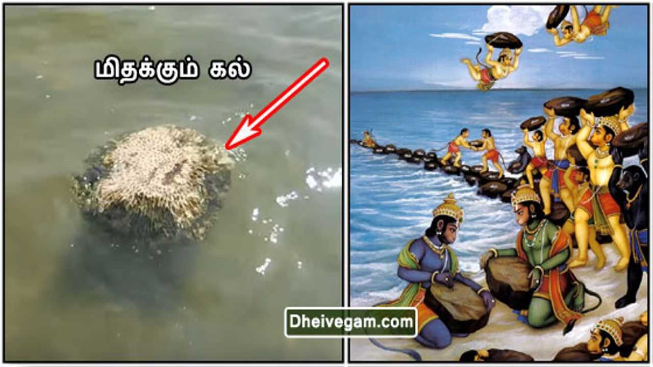 Ramar Palam Clear Picture