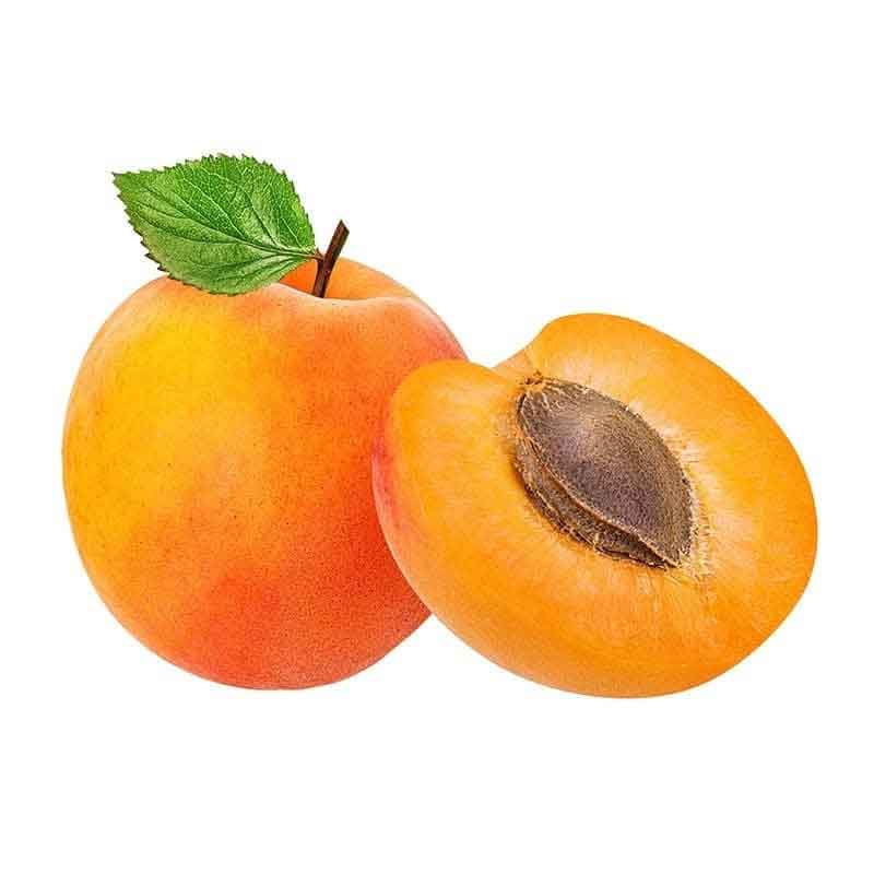 ஆப்ரிகாட் பழம் பயன்கள் apricot benefits in Tamil