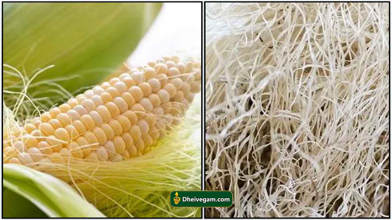 Top 24 Corn Fiber Content Best Recipes Ideas and Collections