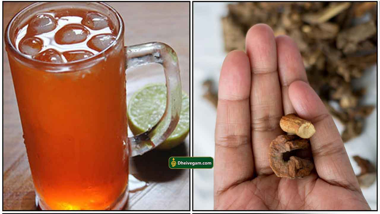 நன்னாரி சர்பத் பயன்கள் Nannari sarbath benefits in Tamil