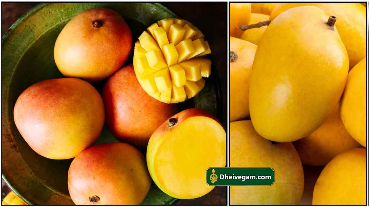 மேங்கோ ஜூஸ் Mango Juice Seivathu Eppadi Tamil