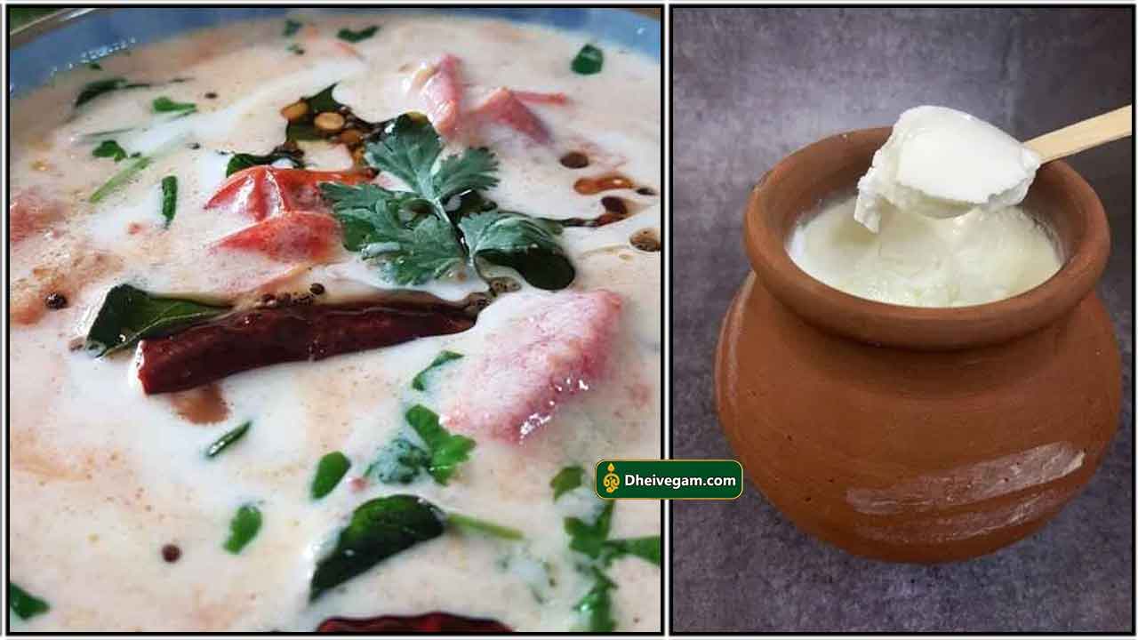 இன்ஸ்டன்ட் தயிர் சட்னி | Instant curd chutney