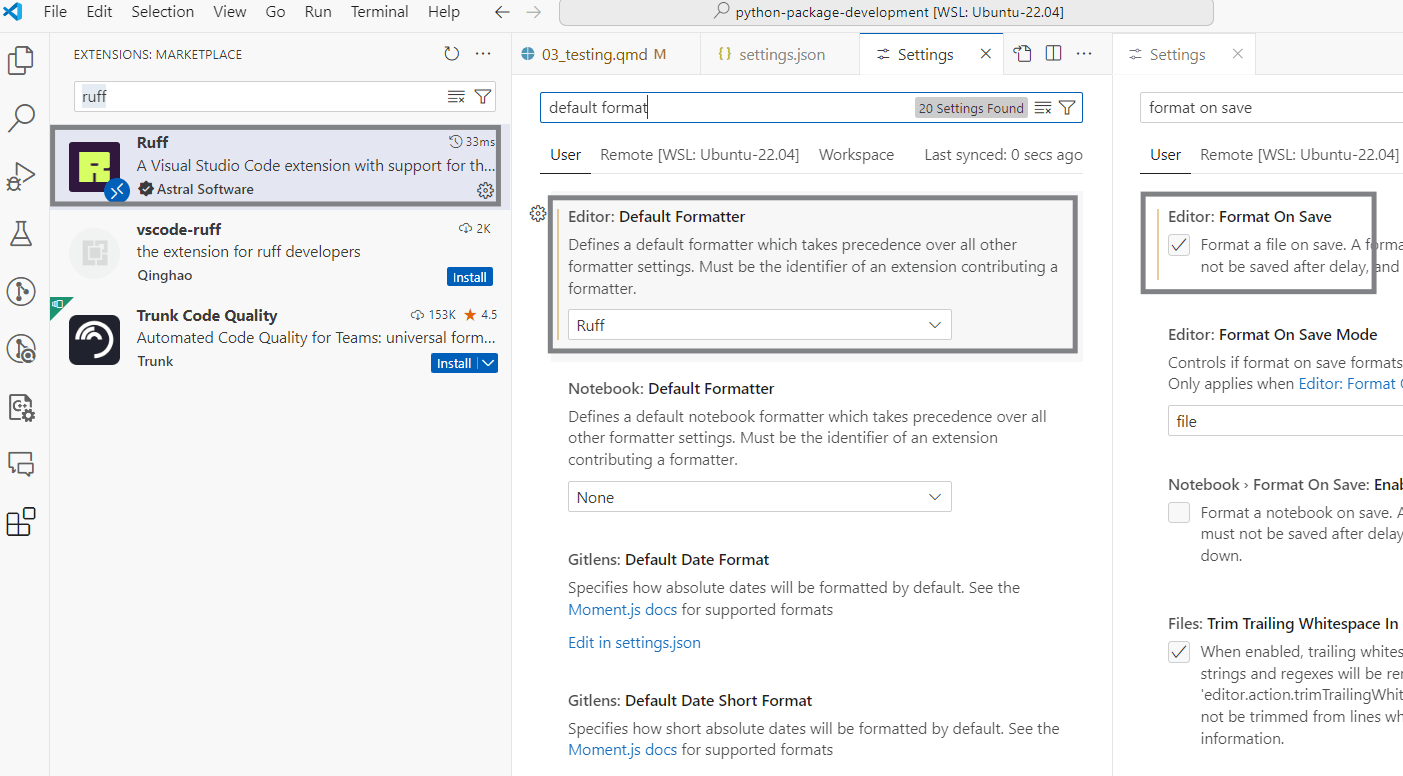 Python package development Testing, linting and formatting