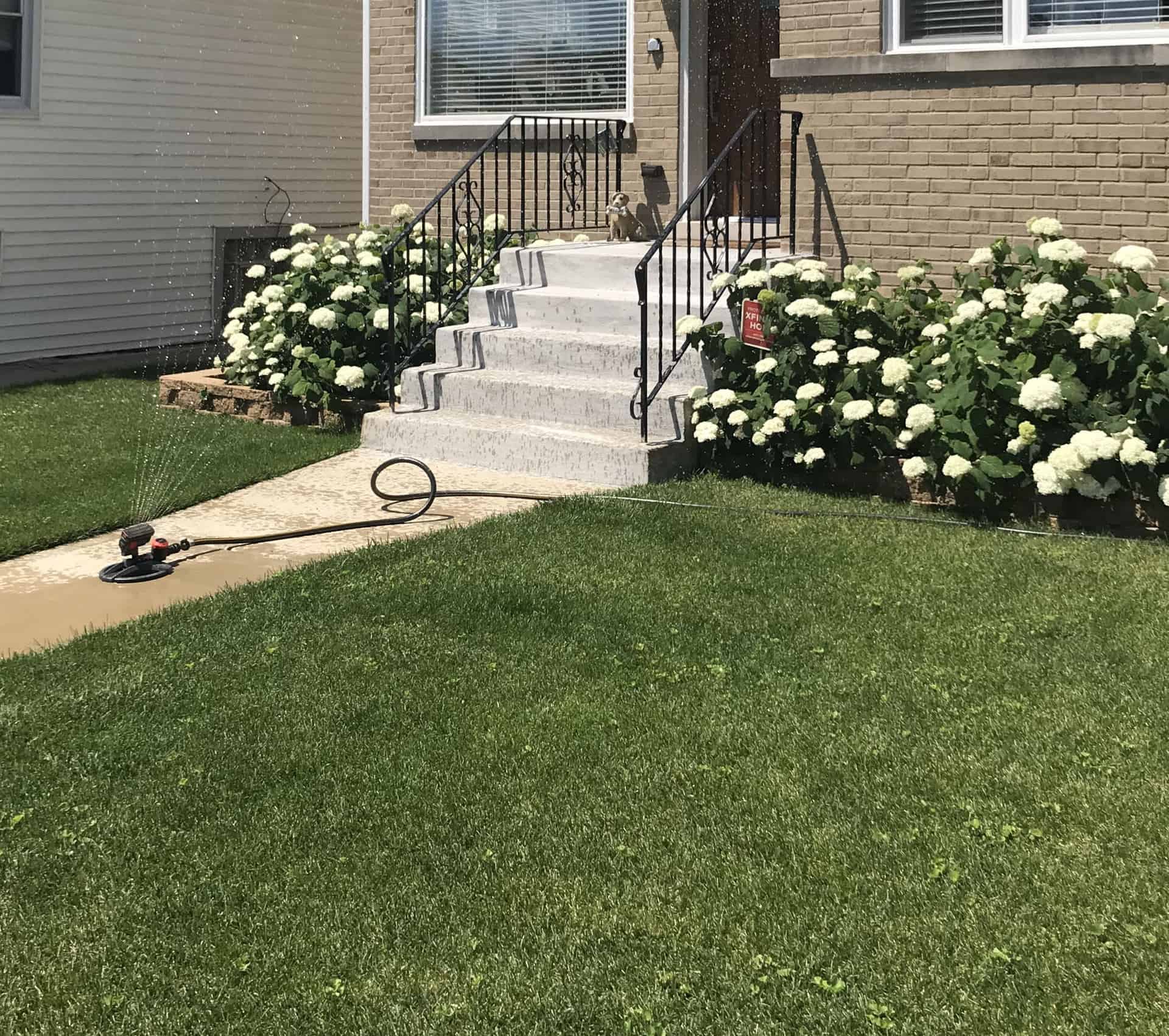 Watering Your Yard Donahue Home Inspections