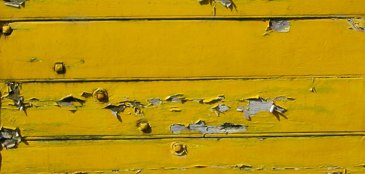 Color Codes Yale University Press