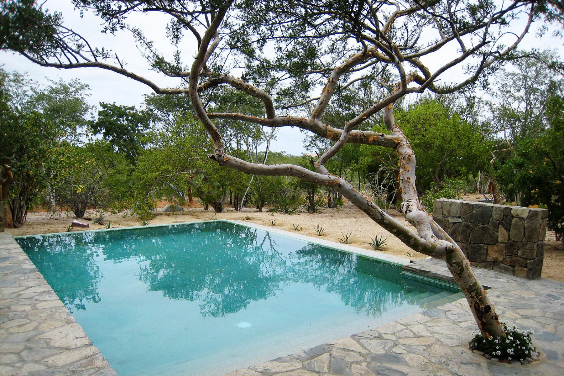 Colina del Sol DHM Design