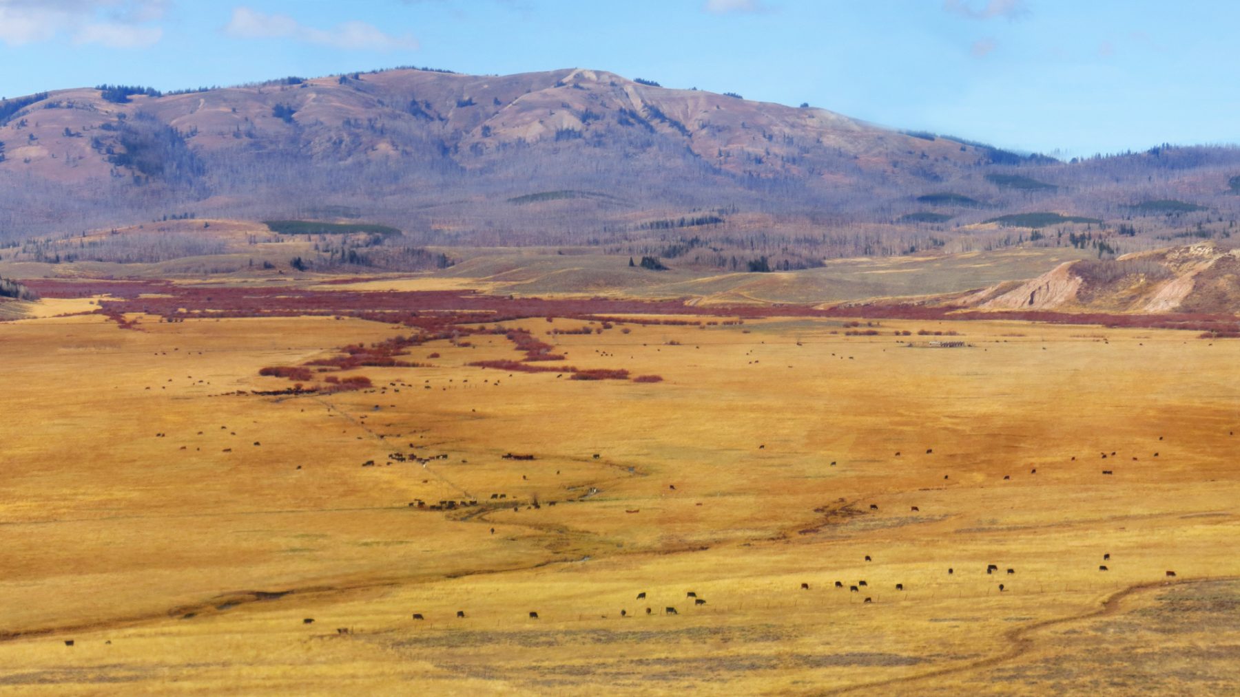 Mountain King Ranch DHM Design