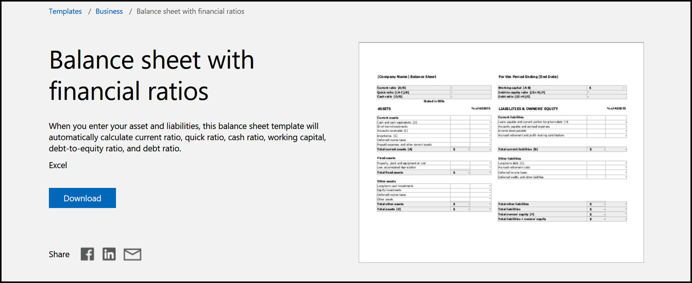 Balance Sheet with Financial Ratios Dhriiti The Courage Within