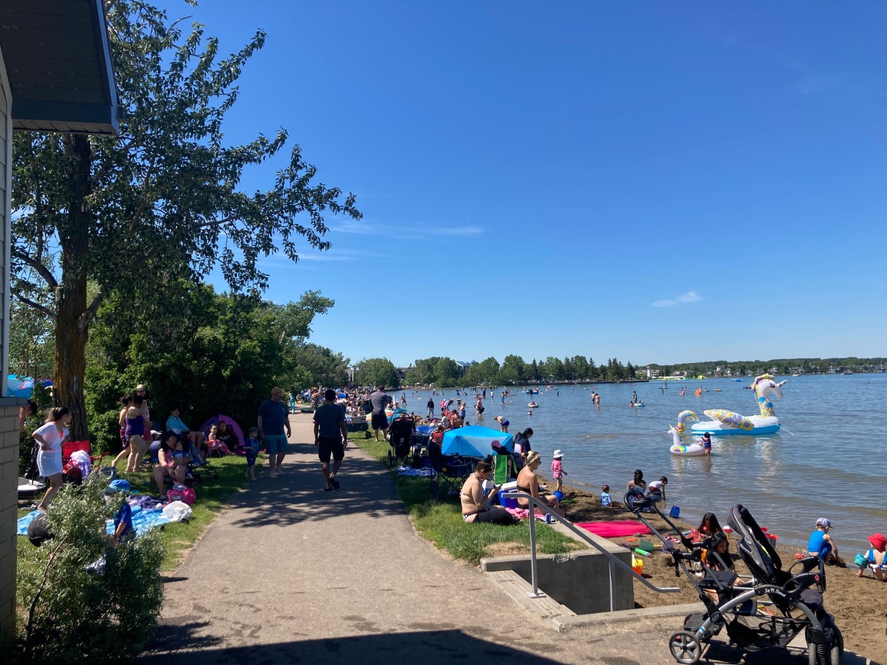 Sylvan Lake to host shore cleanup tomorrow